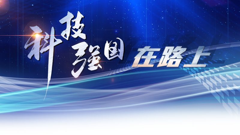 微服务架构下的网关选型：关键因素与决策要点**