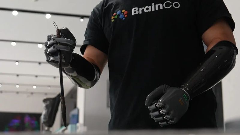 知识图谱存储实施步骤：构建企业智能决策基石